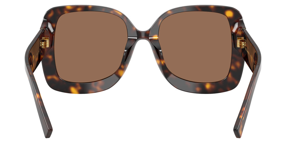 DOLCE & GABBANA DG4513 502/73 55 - Havana / Dark Brown #id:dg451350273_s:106115
