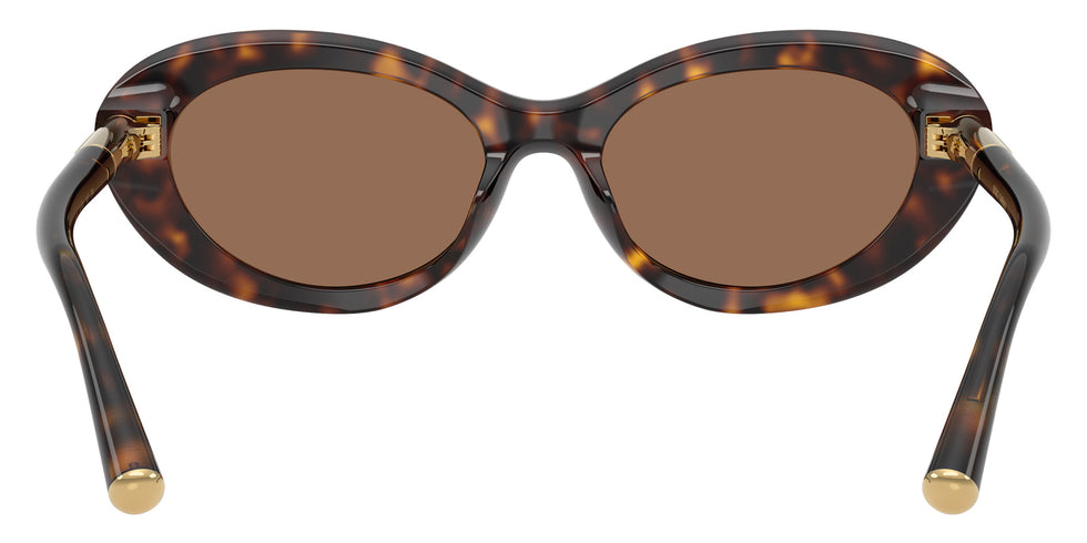 DOLCE & GABBANA DG4519 502/73 54 - Havana / Dark Brown #id:dg451950273_s:100115