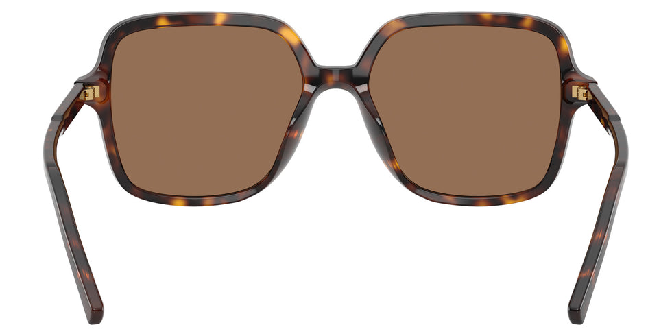 DOLCE&GABBANA DG4539 502/73 55 - Havana #id:dg453950273_s:106115
