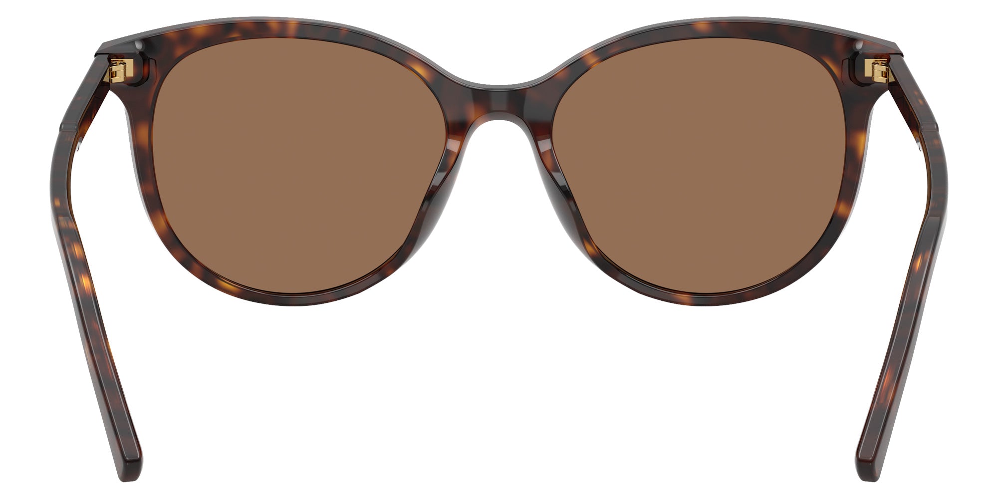 DOLCE&GABBANA DG4540 502/13 55 - Havana #id:dg454050213_s:108115