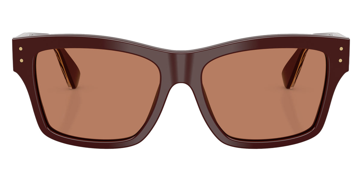 DOLCE&GABBANA DG4559 3503/3 55 - Chocolate / Brown #id:dg455935033_s:100100