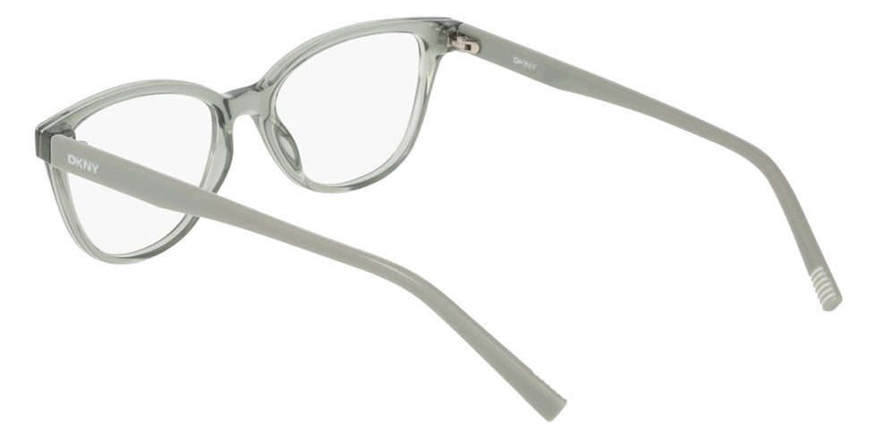 DKNY DK5089 310 53 - Sage #id:dkdk5089310_s:102115