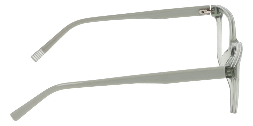 DKNY DK5089 310 53 - Sage #id:dkdk5089310_s:102130