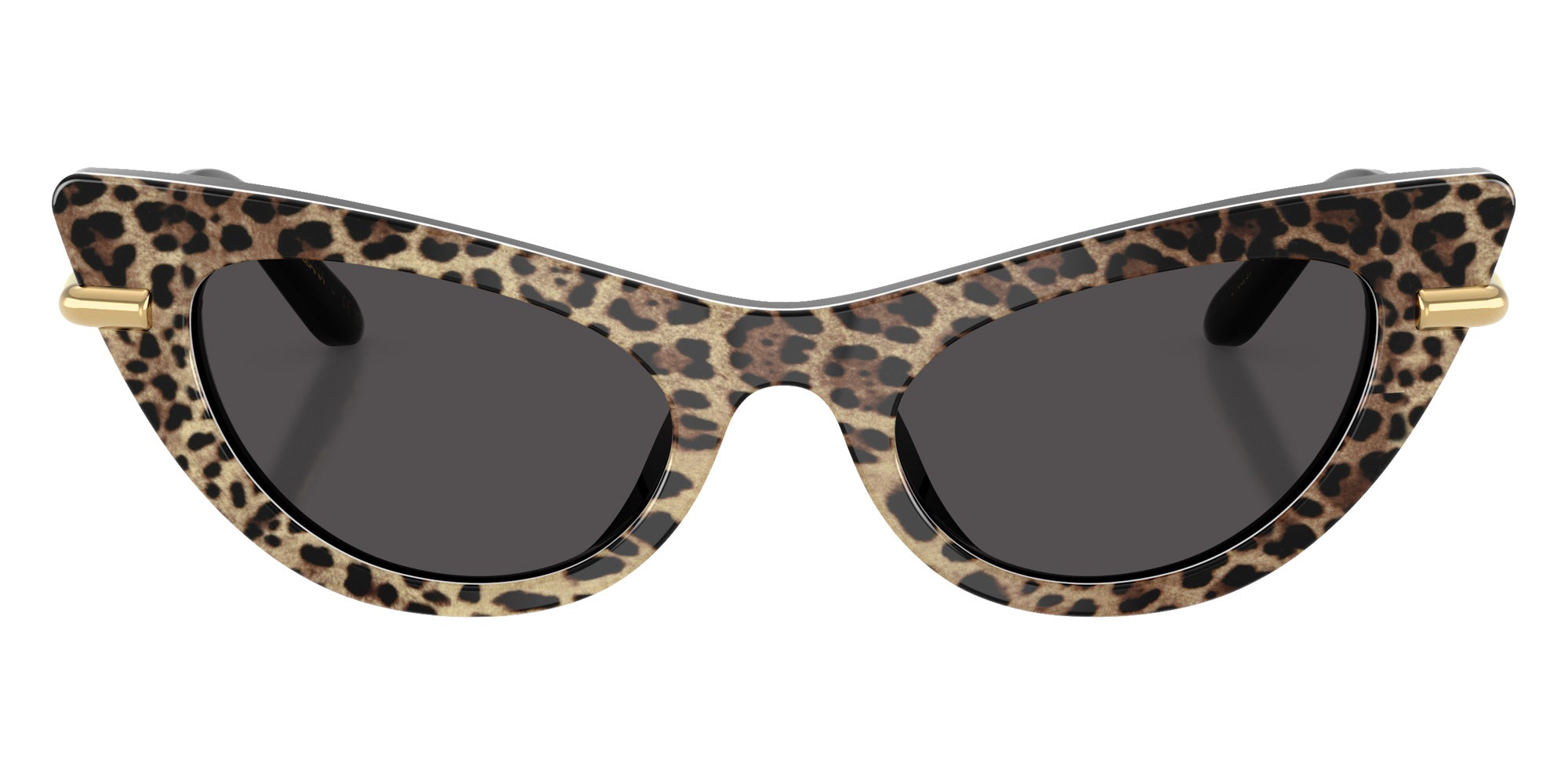 DOLCE & GABBANA DX4008 316397 44 - Leo Brown on Black / Dark Gray #id:dx4008316397_s:100100