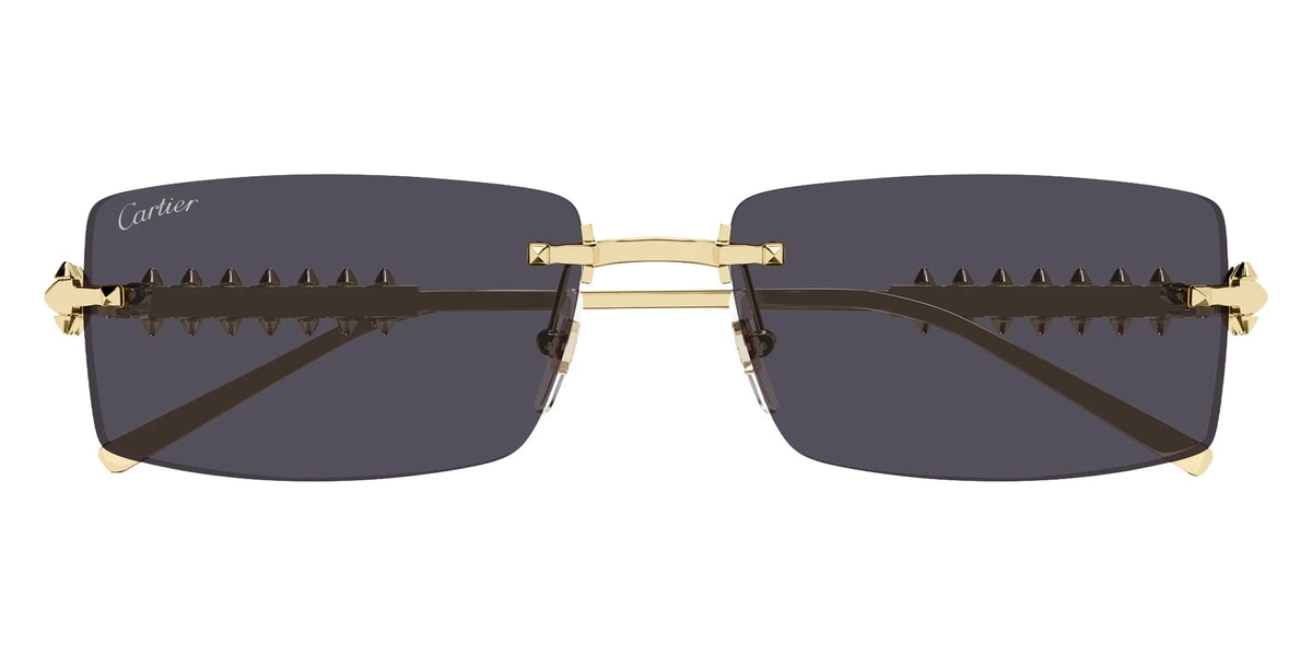 Cartier CT0604S Rectangle Sunglasses | EyeOns.com display picture 2