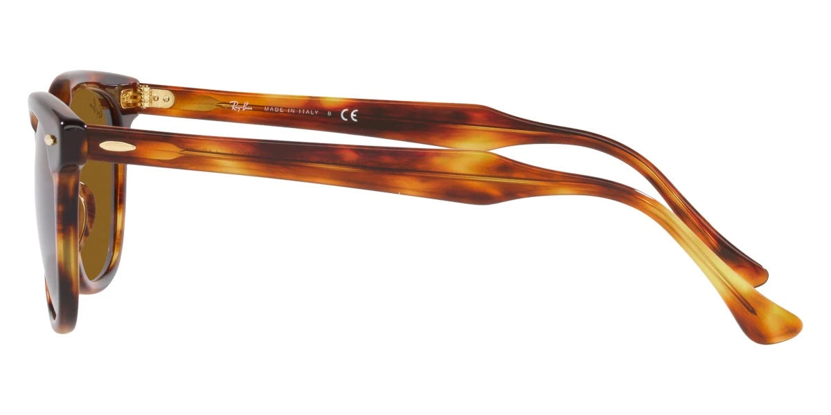 Ray-Ban - Hawkeye RB2298