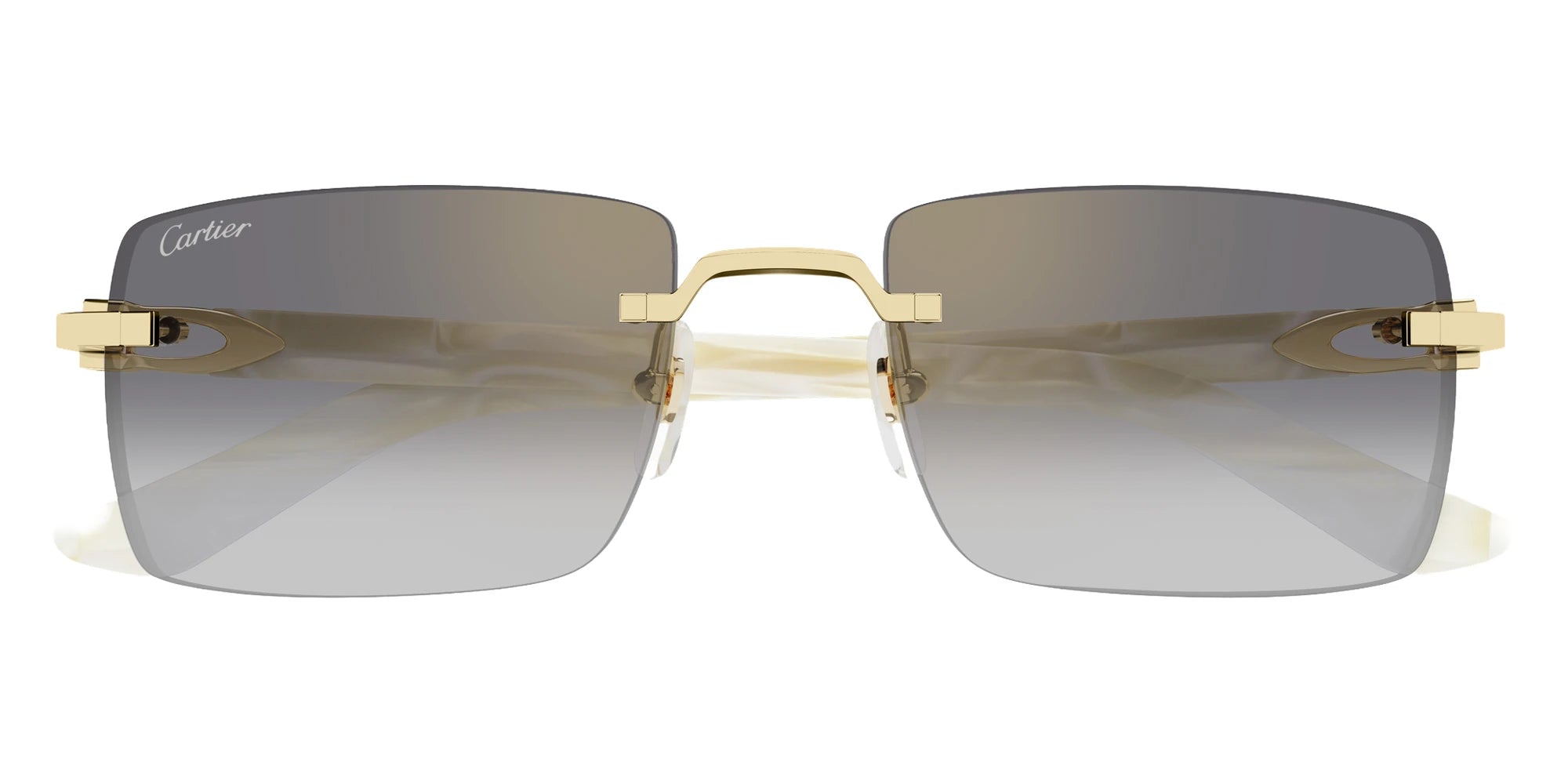 Cartier - CT0579S C Décor