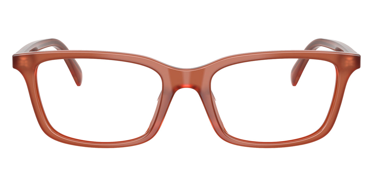 EMPORIO ARMANI EA3290U 6455 51 - Shiny Opal Light Brown #id:ea3290u6455_s:108100