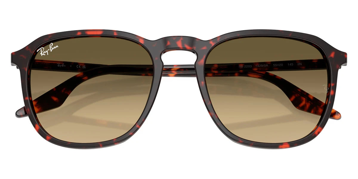 Ray-Ban - RB2203