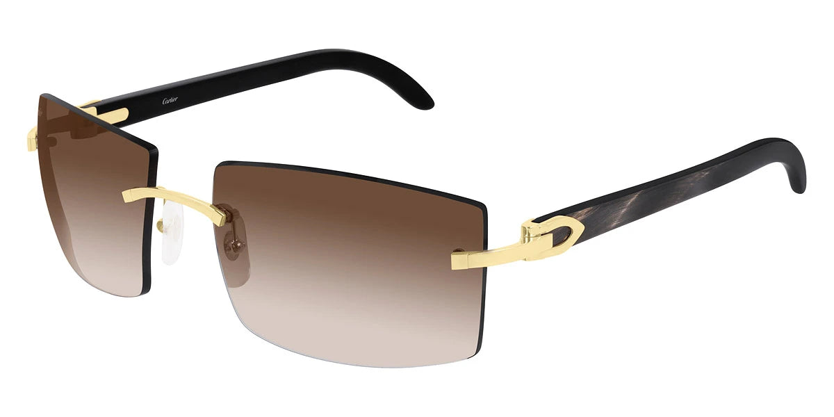 Cartier - CT0021RS C Décor