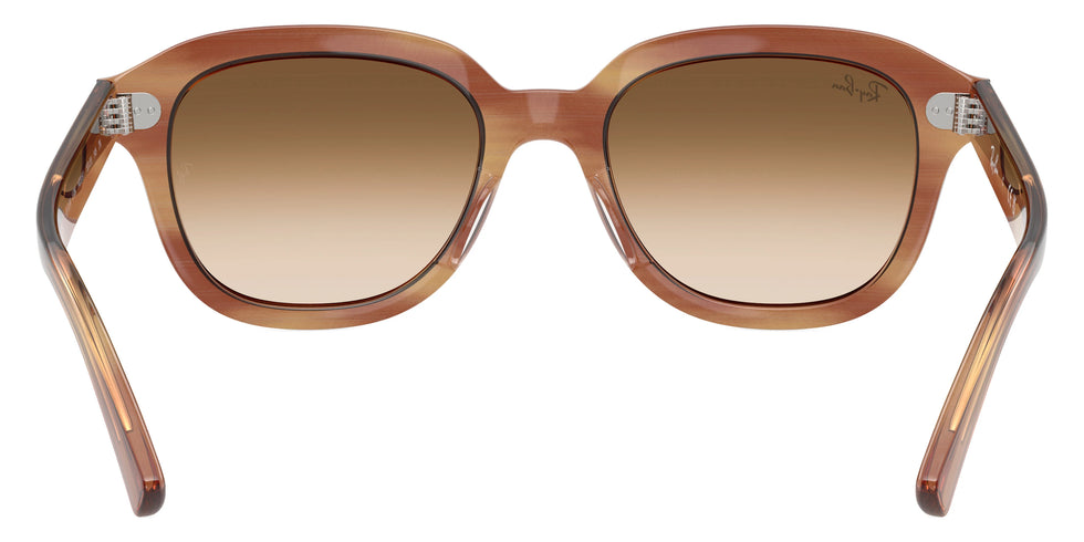 Ray-Ban - Erik RB4398