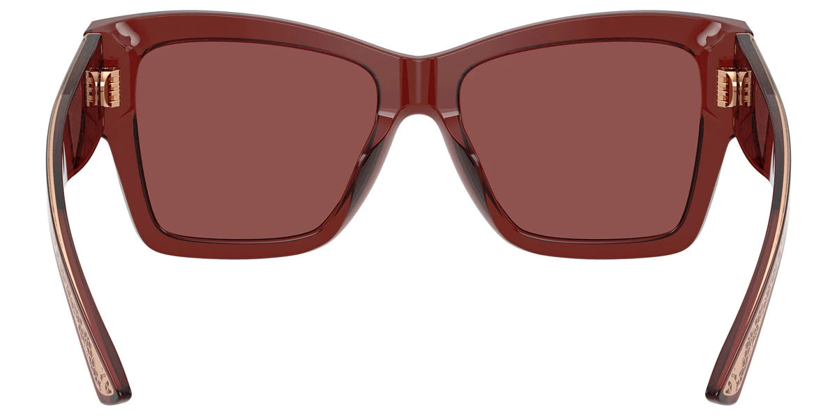 DOLCE & GABBANA - DG4493