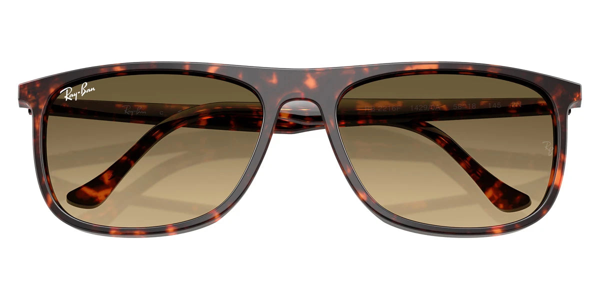 Ray-Ban - RB2216F