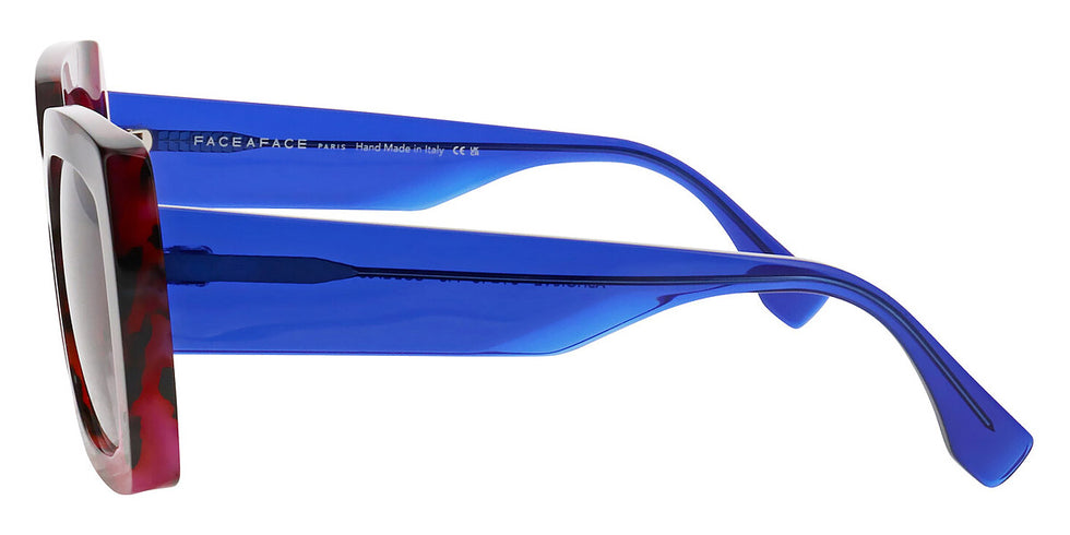 Face a Face - ASHOKA 2