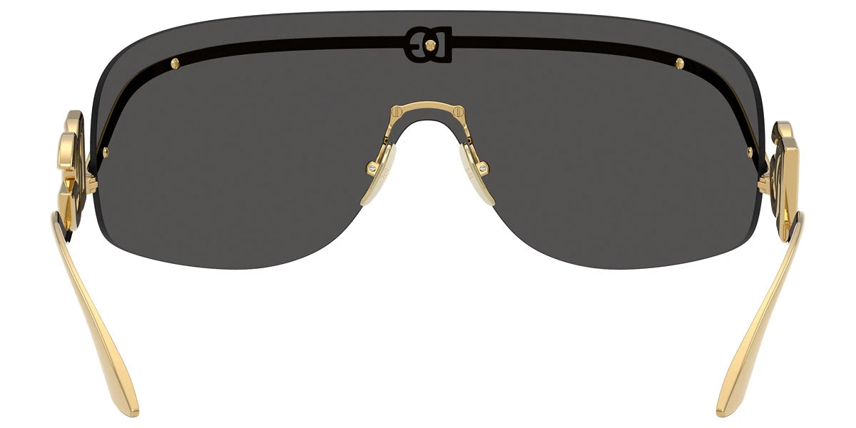 DOLCE & GABBANA - DG2320