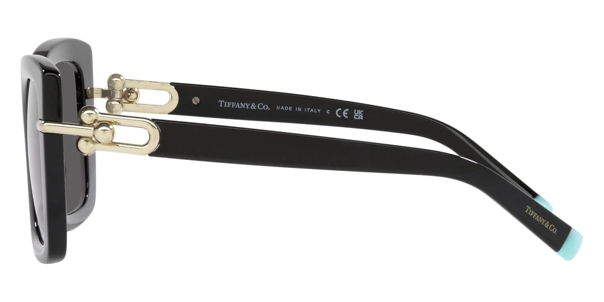 TIFFANY TF4199F 8001S4 53 - Black / Dark Gray