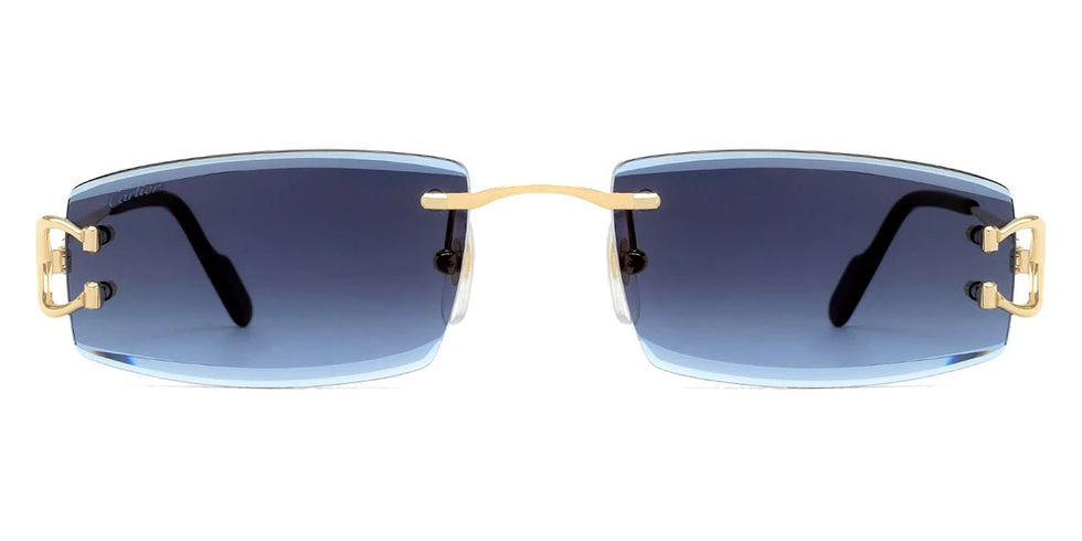 Cartier - CT0465S Signature C de Cartier