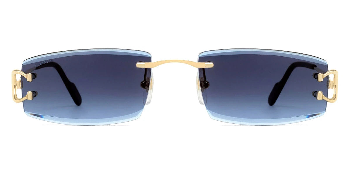 Cartier - CT0465S Signature C de Cartier