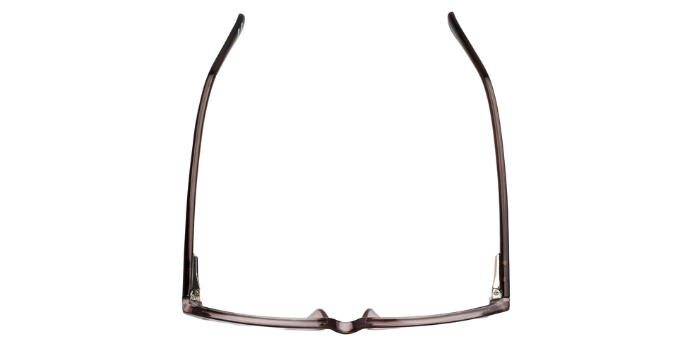 Foster Grant x Sofia Vergara® - Alicia Women's Reading Glasses - Brown/Blue