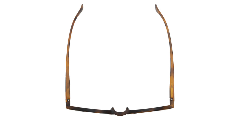 Foster Grant x Disney - Wonder Round Reading Glasses - Tortoise