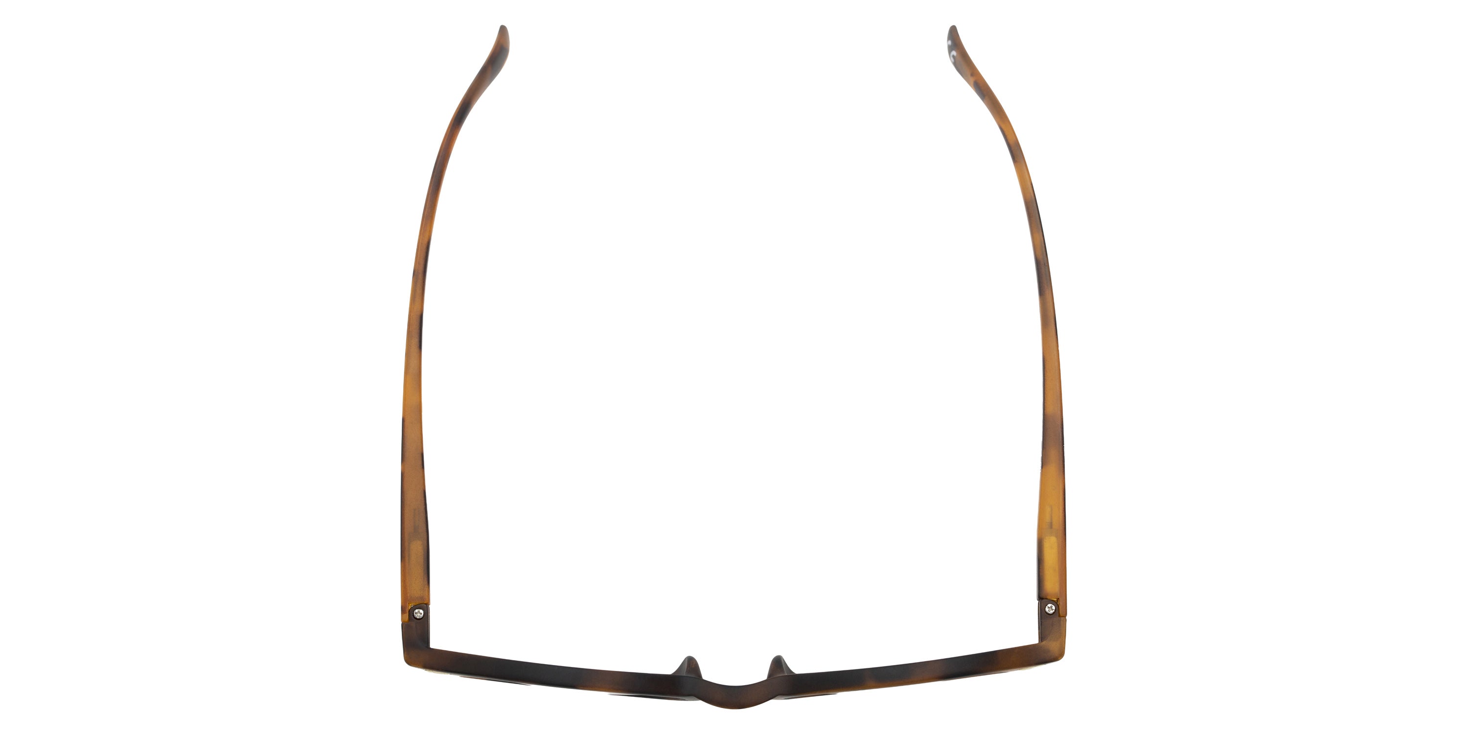 Foster Grant x Disney - Wonder Round Reading Glasses - Tortoise