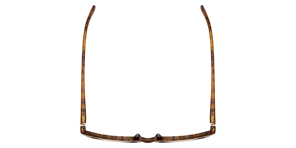 Foster Grant Pop of Power® Caiden Bifocal-style Reading Glasses - Tortoise