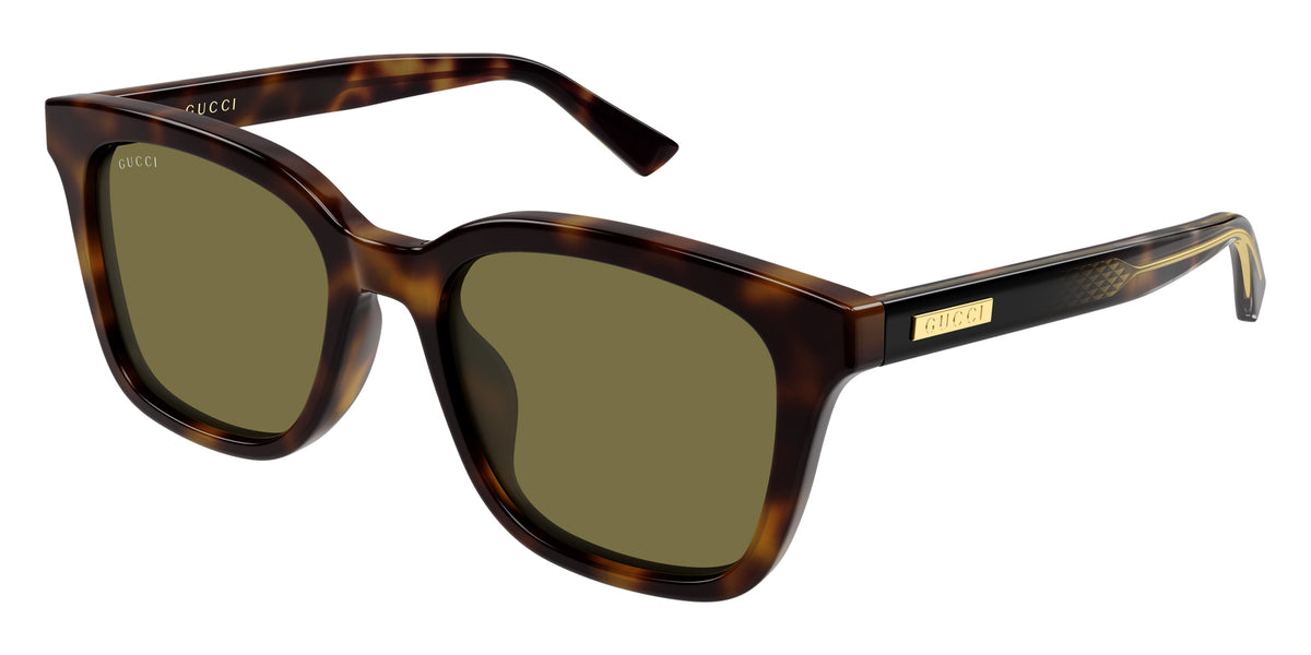 Gucci GG2251SA 002 54 - Havana / Green #id:gg2251sa002_s:102105