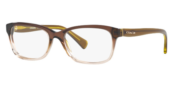 Coach HC6089 5400 49 - Transparent Olive Gradient #id:hc60895400_s:108100