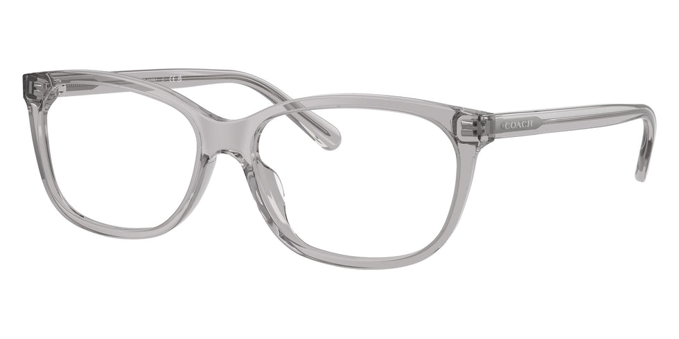Coach HC6139U 5176 53 - Transparent Gray #id:hc6139u5176_s:100105