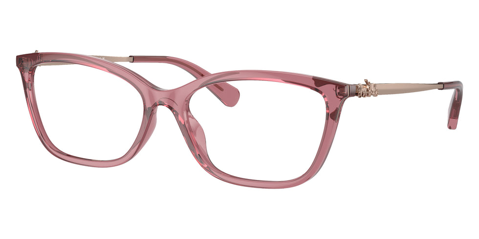 Coach HC6146U 5800 53 - Transparent Berry #id:hc6146u5800_s:102105