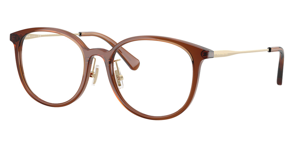 Coach HC6160D 5847 53 - Transparent Brown #id:hc6160d5847_s:104105