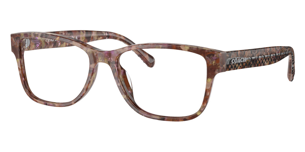 Coach HC6208U 5739 54 - Petal Tortoise #id:hc6208u5739_s:100105