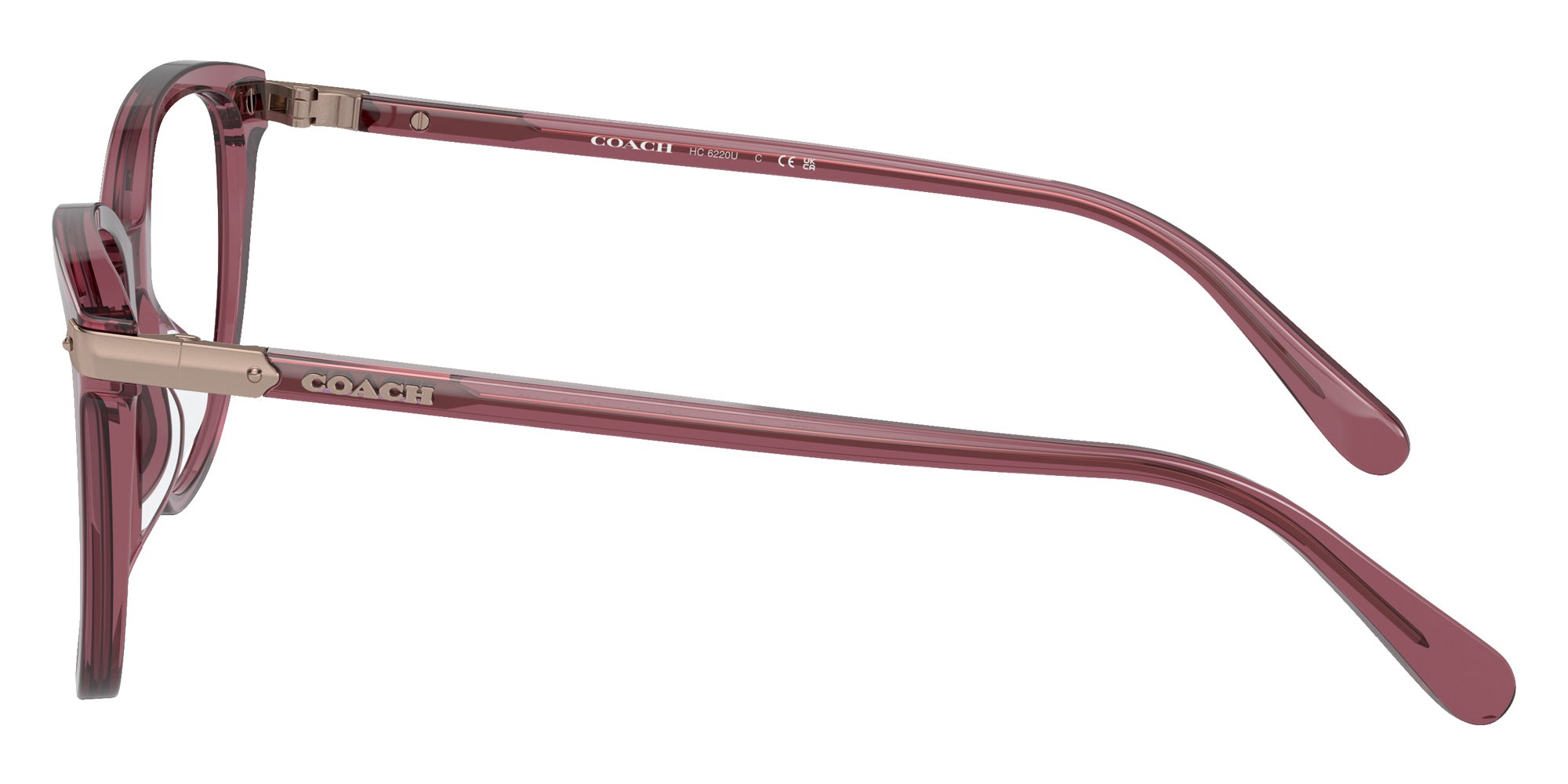 Coach HC6220U 5773 54 - Transparent Purple #id:hc6220u5773_s:102110