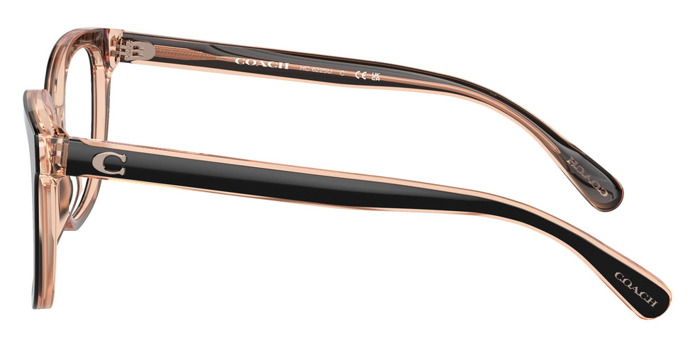 Coach HC6225U 5781 52 - Black/Transparent Blush #id:hc6225u5781_s:100110