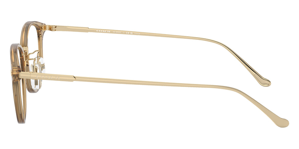 Coach HC6230D 5736 48 - Transparent Fawn #id:hc6230d5736_s:104110