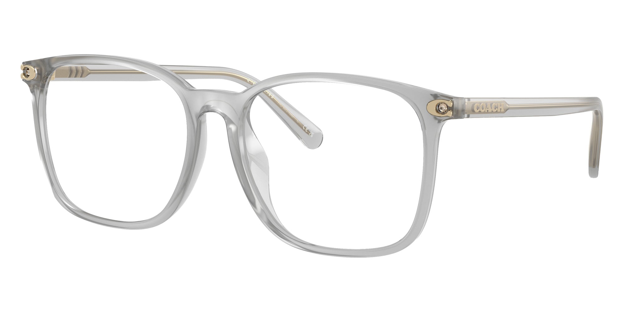 Coach HC6254BD 5614 55 - Transparent Dove #id:hc6254bd5614_s:102105