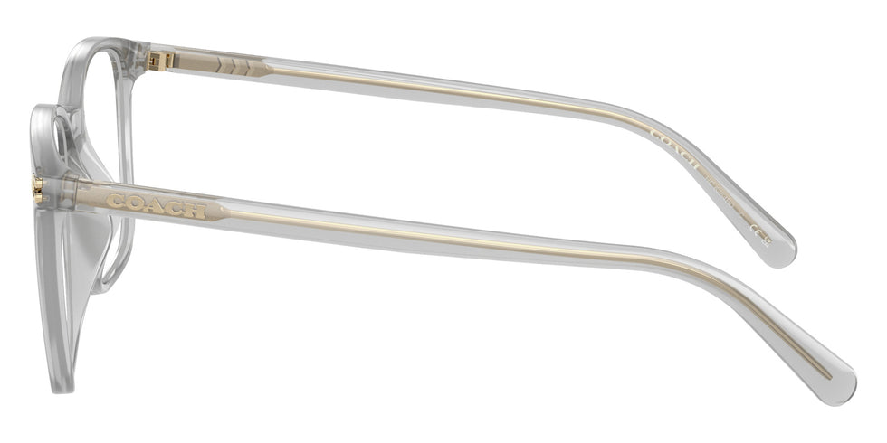 Coach HC6254BD 5614 55 - Transparent Dove #id:hc6254bd5614_s:102110