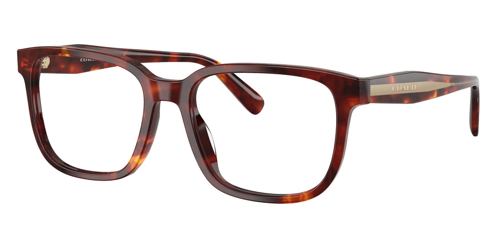 Coach HC6291U 5938 55 - Walnut Tortoise #id:hc6291u5938_s:104105