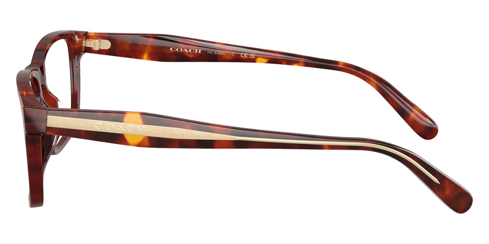 Coach HC6292U 5938 54 - Walnut Tortoise #id:hc6292u5938_s:104110