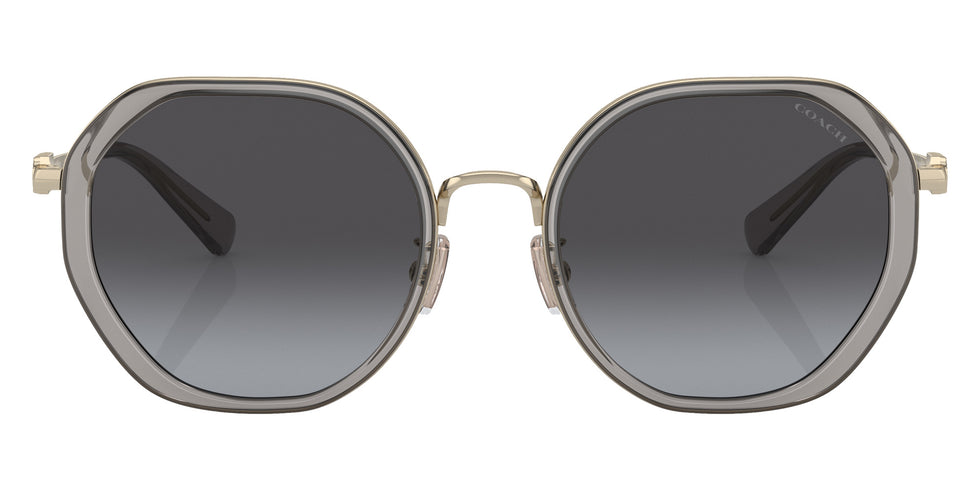 Coach HC7141 CD477 90058G 54 - Transparent Gray / Gray Gradient #id:hc714190058g_s:104100
