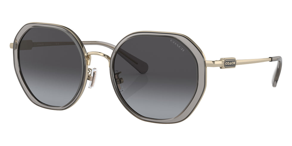 Coach HC7141 CD477 90058G 54 - Transparent Gray / Gray Gradient #id:hc714190058g_s:104105