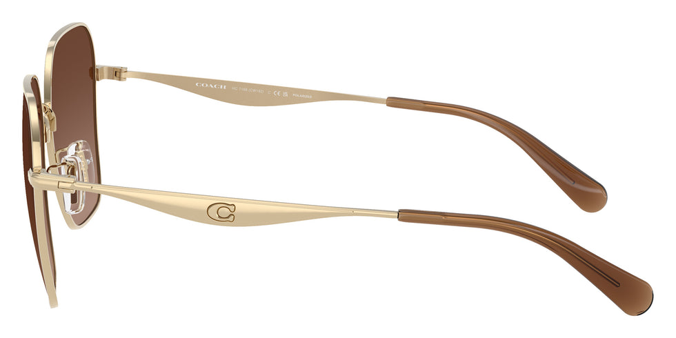 Coach HC7168 CW189 9005T5 58 - Shiny Light Gold / Brown Gradient Polarized #id:hc71689005t5_s:106110