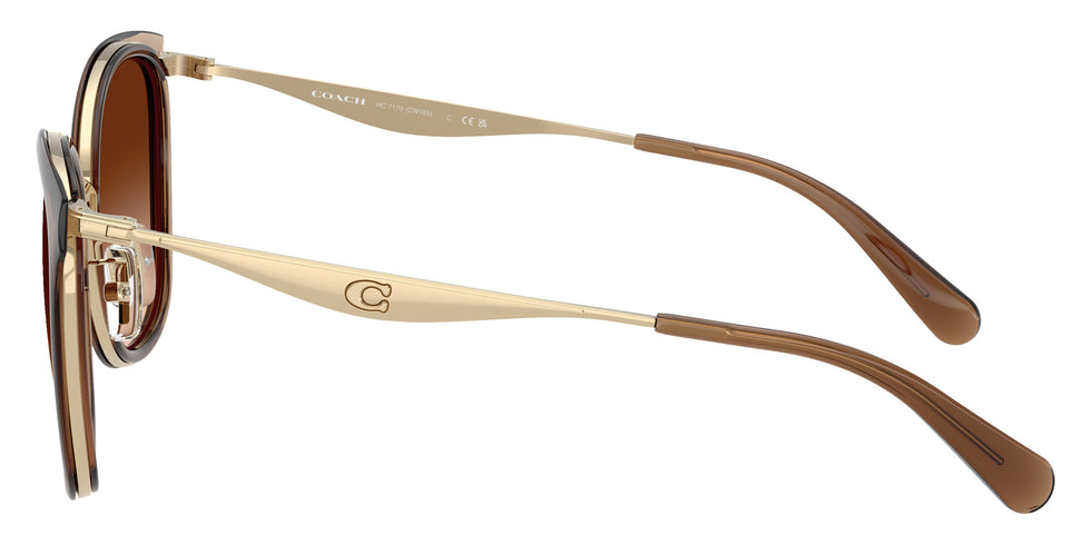 Coach HC7170 CW185 945374 56 - Light Gold/Brown / Brown Gradient #id:hc7170945374_s:106110