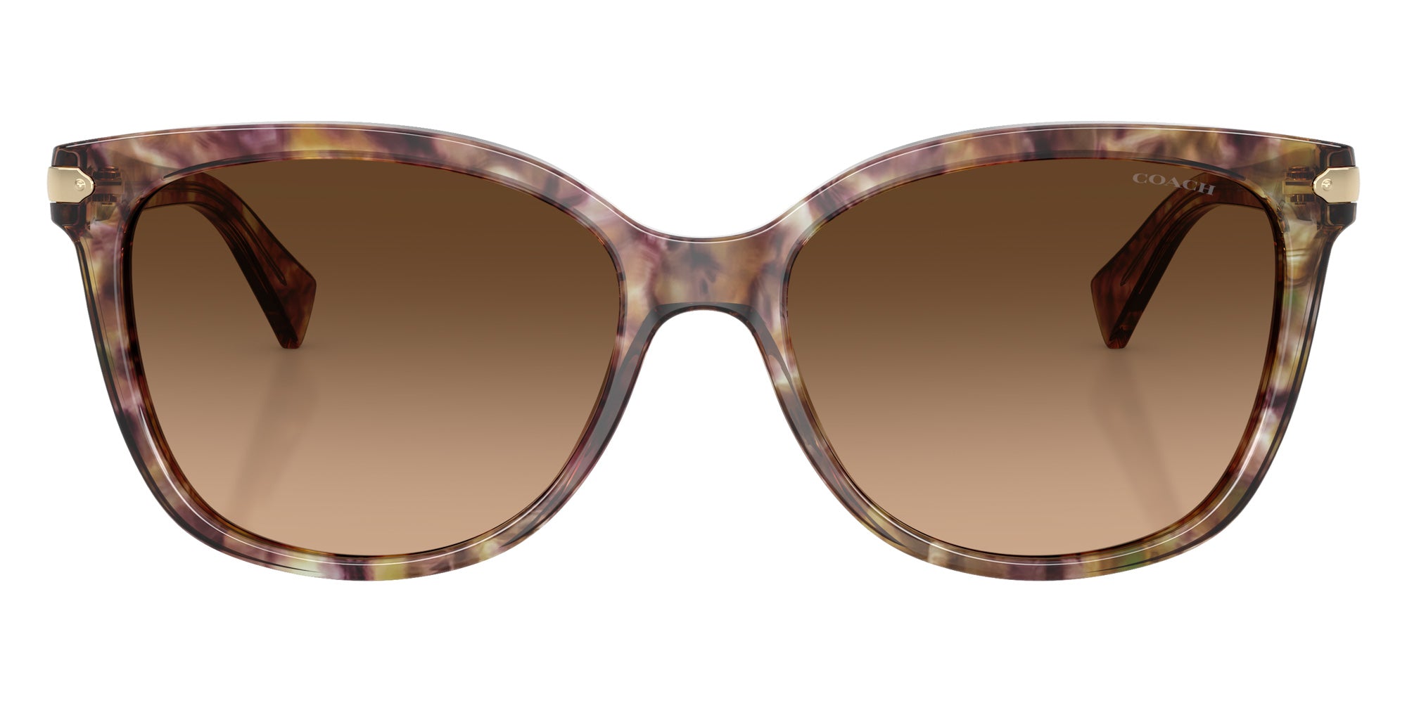 Coach HC8132 L109 528713 57 - Tortoise / Brown Gradient #id:hc8132528713_s:100100