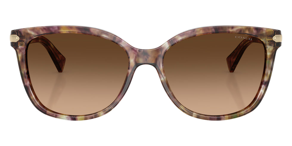 Coach HC8132 L109 528713 57 - Tortoise / Brown Gradient #id:hc8132528713_s:100100