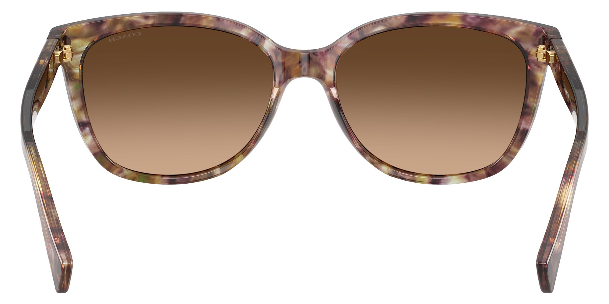 Coach HC8132 L109 528713 57 - Tortoise / Brown Gradient #id:hc8132528713_s:100115