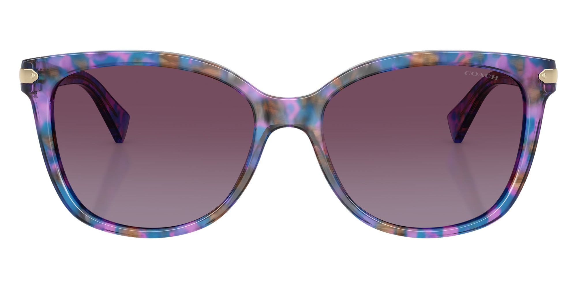 Coach HC8132 L109 52888H 57 - Purple Confetti Tortoise / Purple Gradient #id:hc813252888h_s:102100