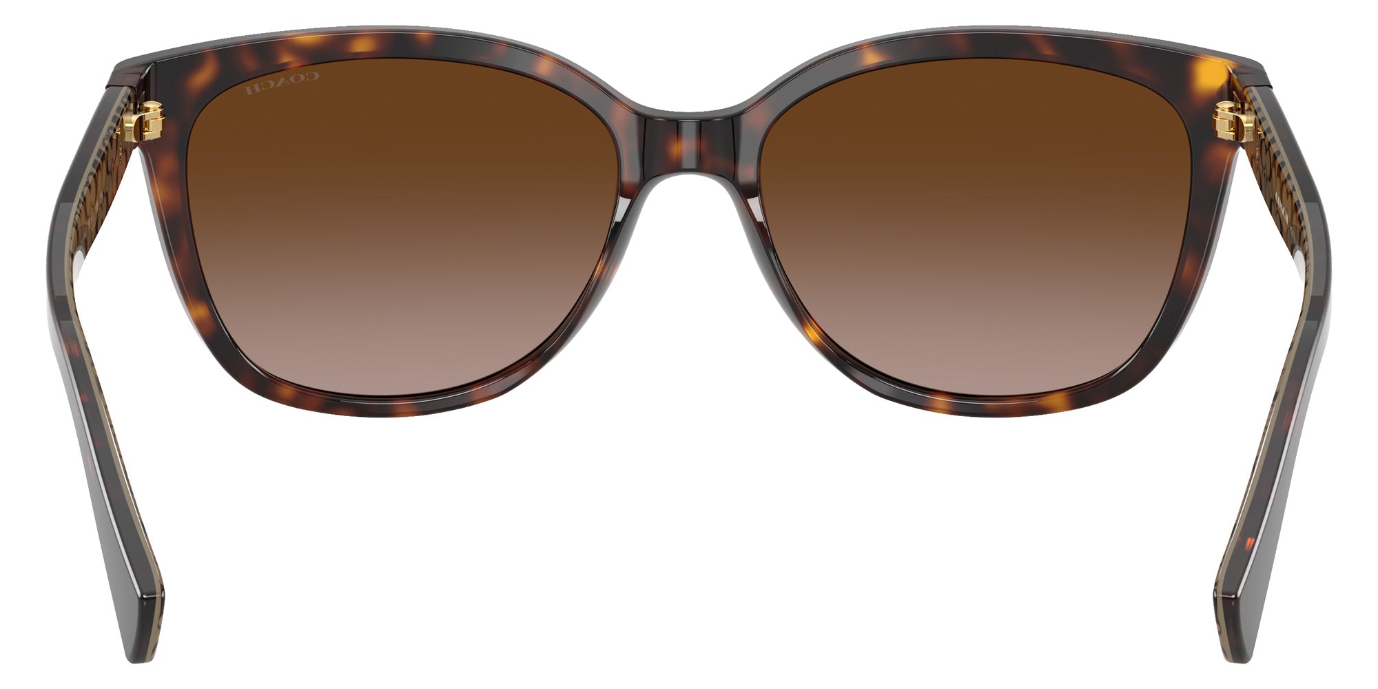 Coach HC8132 L109 529113 57 - Dark Tortoise / Dark Brown Gradient #id:hc8132529113_s:104115