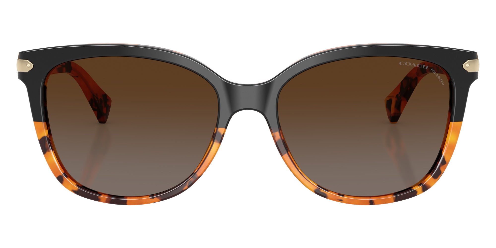 Coach HC8132 L109 5438T5 57 - Black Tortoise Gradient / Brown Gradient Polarized #id:hc81325438t5_s:106100