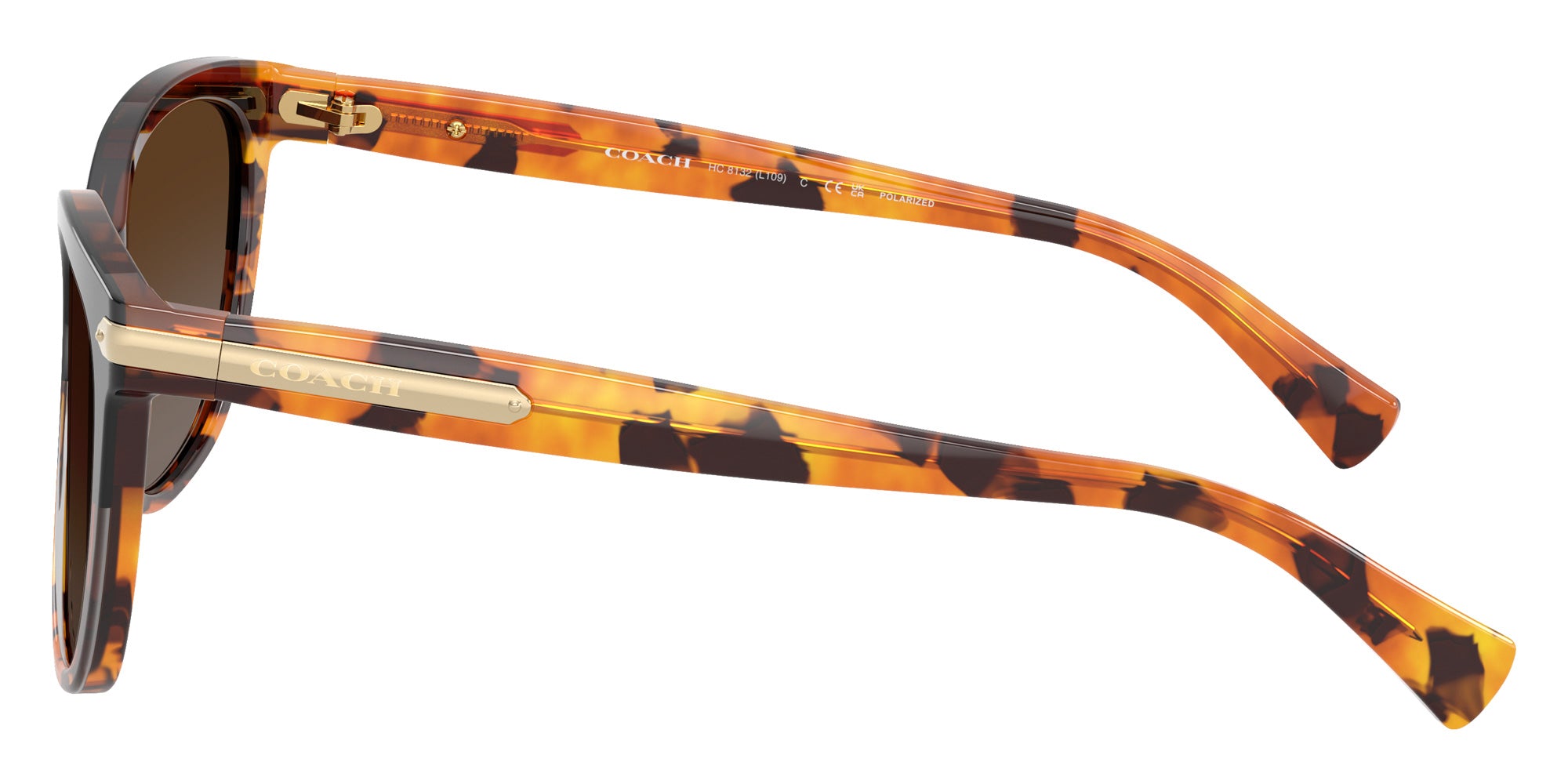 Coach HC8132 L109 5438T5 57 - Black Tortoise Gradient / Brown Gradient Polarized #id:hc81325438t5_s:106110